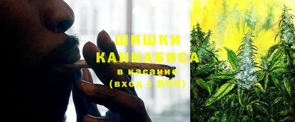 меф Арсеньев